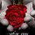 Valli Rose Price's profile image