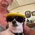 Janis Mroz's profile image