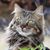 Kelly Anderson's profile image