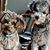 Sharon Stepp's profile image
