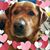 Kim Gallmeyer's profile image