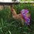 Crystal R. Bender's profile image