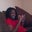 Tiffany Gant's profile image