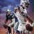 Chris Knight's profile image