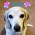 Virginia McClung Smith's profile image