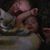 Jordan Bolson's profile image