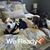Tia Sibert Falls's profile image