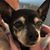 Kathleen Coffey's profile image