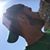 Matheus Augusto Borges's profile image