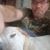 Jeb Bonsall's profile image