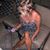 Nikki Roman-Boyles's profile image