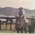 Diana Turnage's profile image
