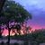 Nancy J. Rank's profile image