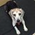 Joanna Gamalski Crawford's profile image