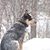 JoBeth Tew Silvey's profile image