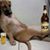 Roy Roger Peralta's profile image