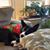 Janice McHenry McPherson's profile image