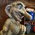 Scott Gaffen's profile image