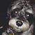 Suzanne Bryan's profile image