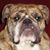 Geoff Batlis's profile image