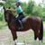 Lea Ann Rogers's profile image