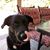 Jerry Boydson's profile image