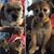 Joyce Lathrum's profile image
