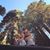 Raeleen Kocak's profile image