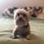 Patty Burnam's profile image