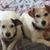 Maggie May's profile image