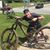 Brian T. Roe's profile image