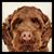 Marvin Dorn's profile image