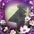 Juanita Chachi-Hall Williams's profile image