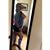 Sara Rangel's profile image