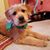 Amy Menefee Zill's profile image