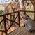 Vicki Jauron's profile image