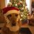Julie Morrisey's profile image
