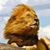 Antonia Germon's profile image