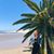 Jeannette Breuls's profile image