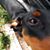 Debra Cahill's profile image
