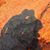 Chris Gerber's profile image