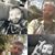Daniel Fuller's profile image