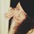 Shelley Gavino's profile image