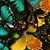 Cayrol Goree's profile image