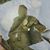 Lisa Tangen's profile image
