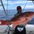 Brent Chiasson's profile image