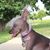 Katie Wing's profile image