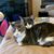 Kassondra Dawley's profile image