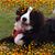 Joan Crowley Zielinski's profile image
