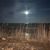 Sheila Battie Howard's profile image